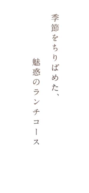 魅惑のランチコース